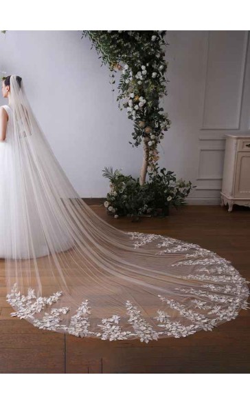 One-tier Lace Applique Edge Cathedral Bridal Veils With Lace